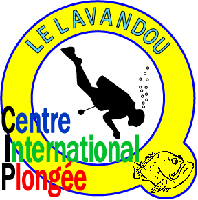 logo cip 2006 definitif