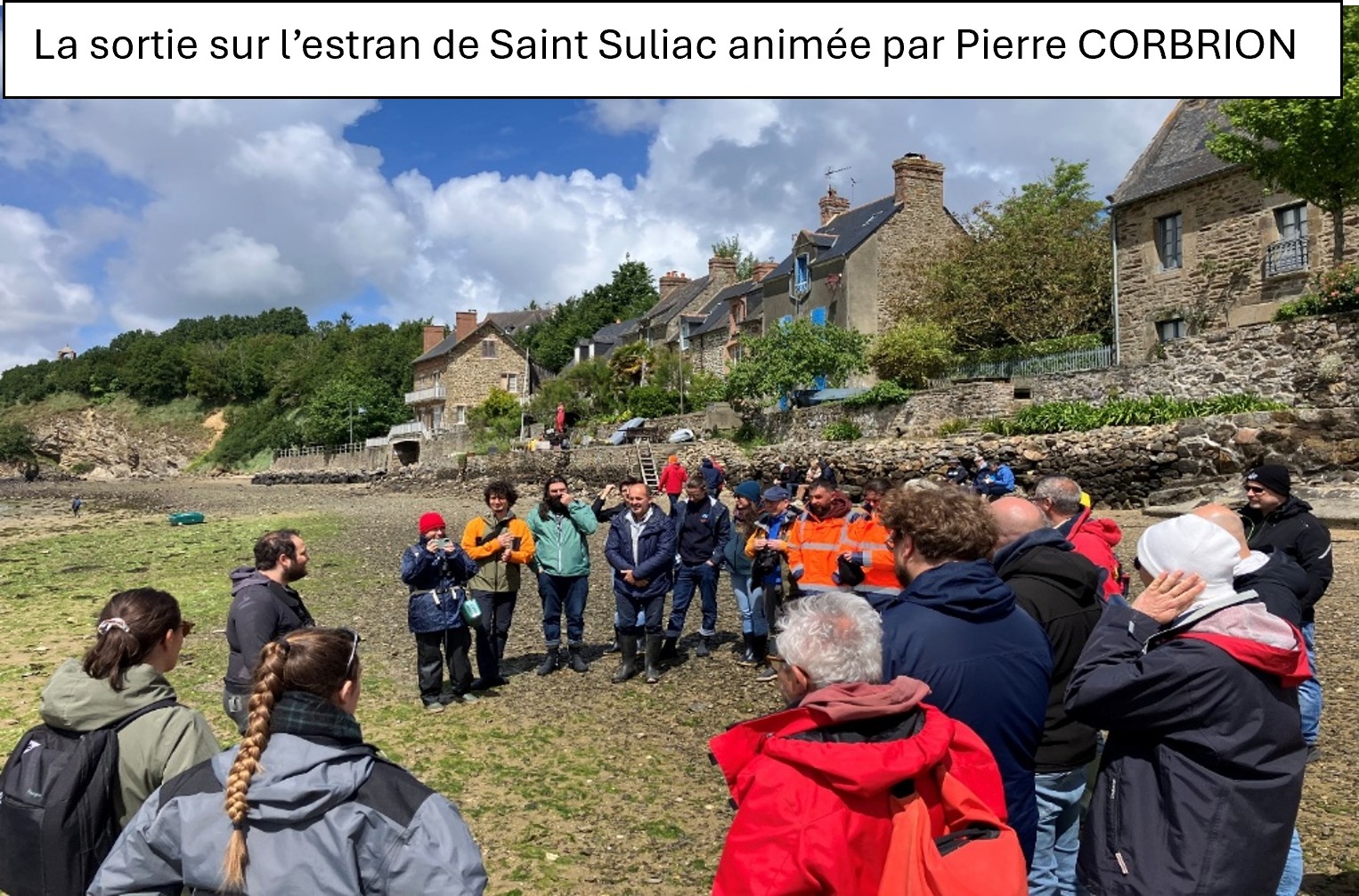 Estran